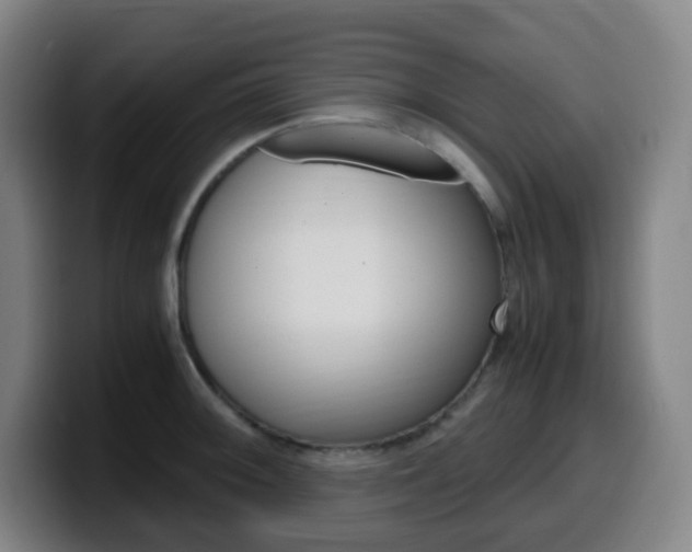 X0000099511092200805151005