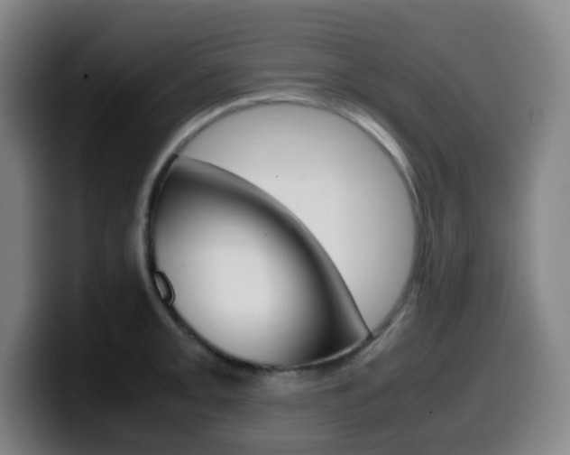 X0000099511093200805151005