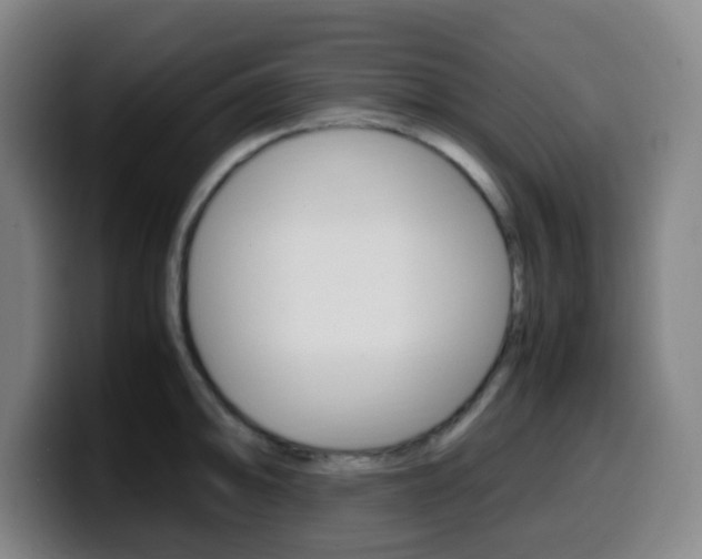X0000099511094200805151005