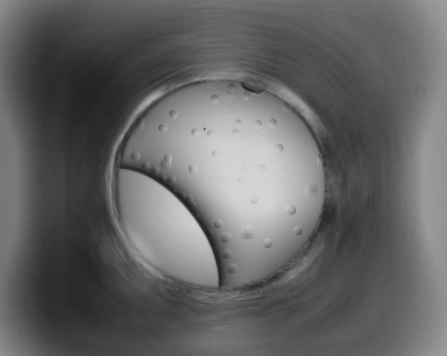 X0000099511095200805151005