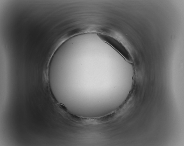 X0000099511097200805151005