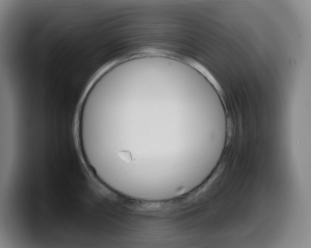 X0000099511098200805151005
