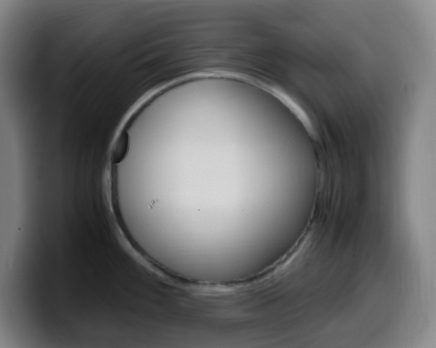 X0000099511100200805151005