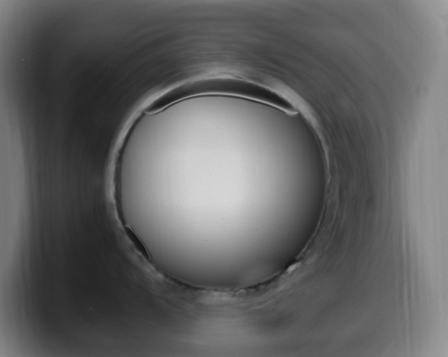 X0000099511104200805151005