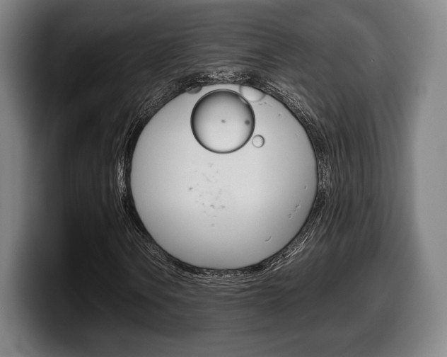 X0000099511106200805151005