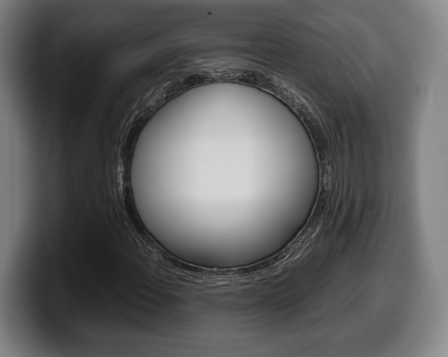 X0000099511108200805151005
