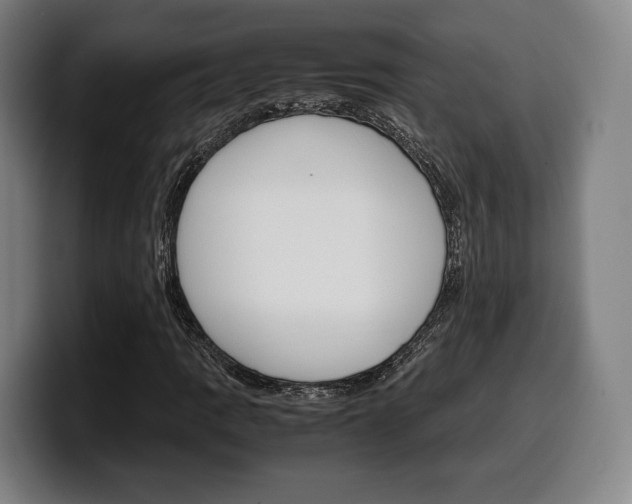 X0000099511109200805151005