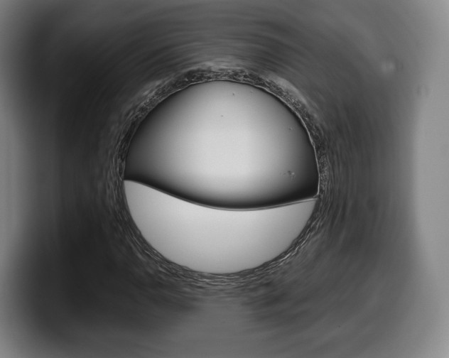 X0000099511110200805151005