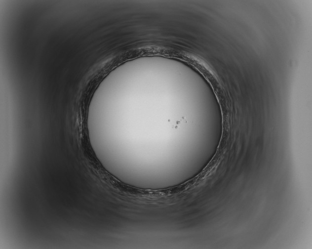X0000099511111200805151005