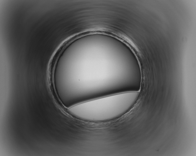 X0000099511116200805151005