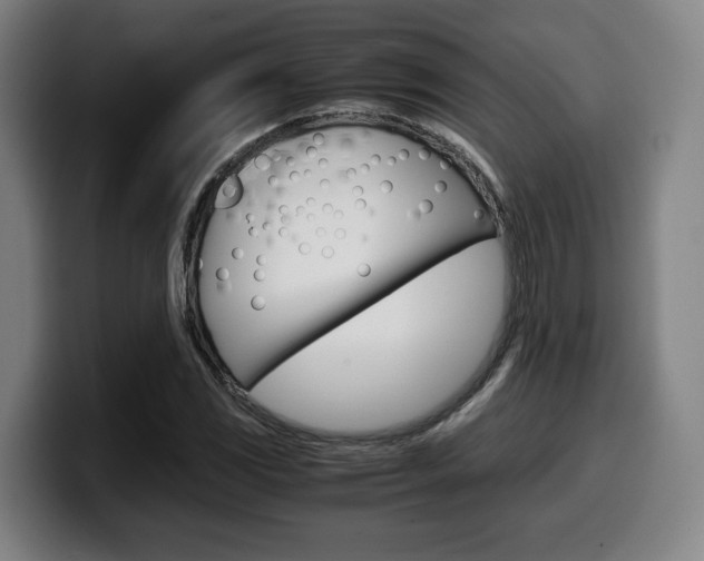 X0000099511117200805151005