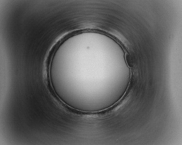 X0000099511118200805151005