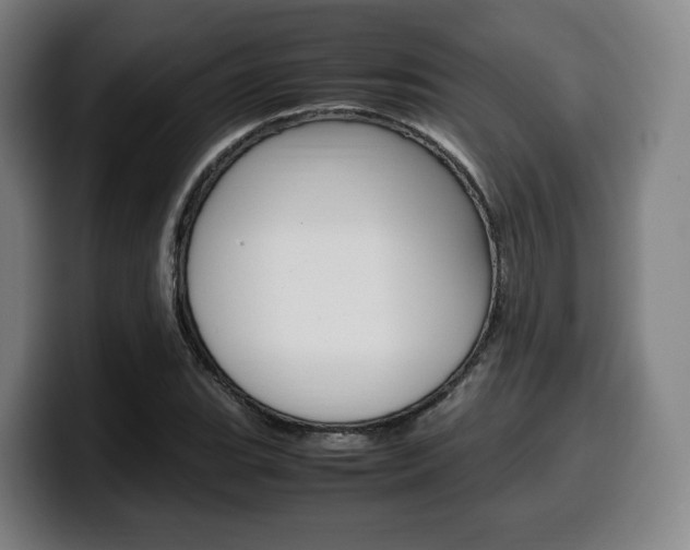 X0000099511119200805151005