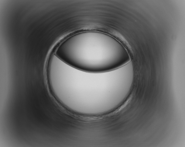 X0000099511122200805151005