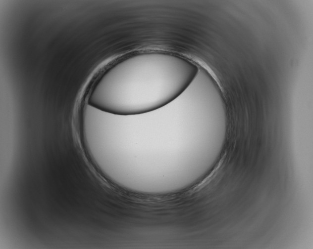 X0000099511123200805151005