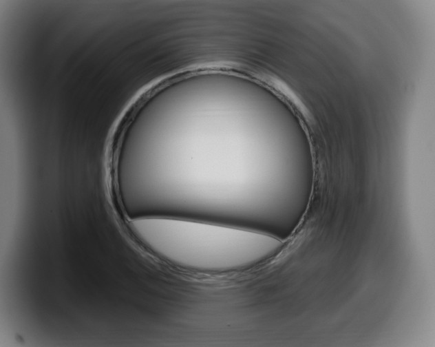 X0000099511124200805151005