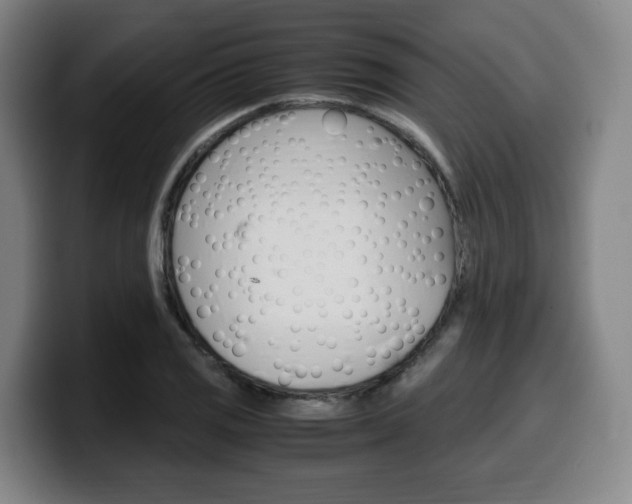 X0000099511125200805151005
