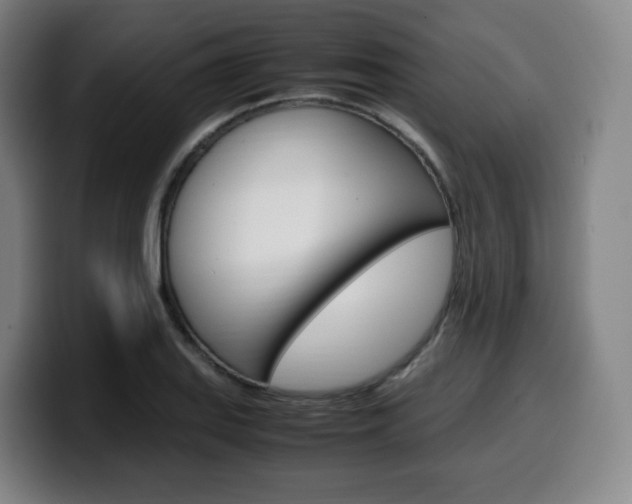 X0000099511127200805151005