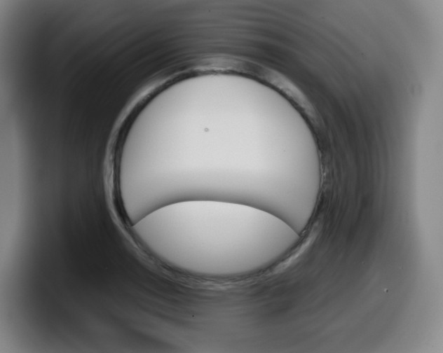 X0000099511130200805151005
