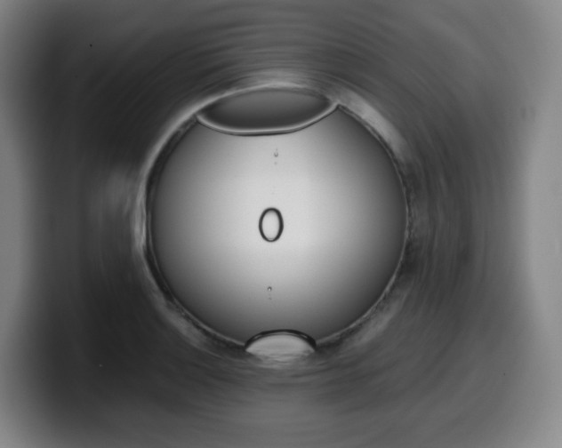 X0000099511132200805151005