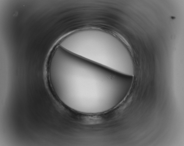 X0000099511133200805151005