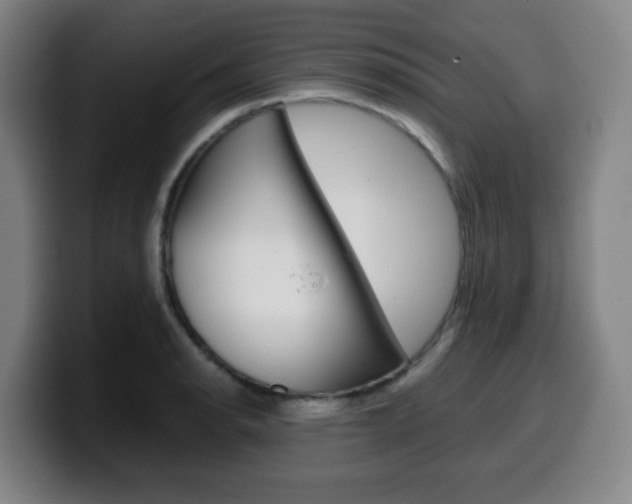 X0000099511134200805151005