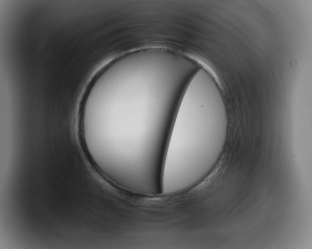X0000099511135200805151005