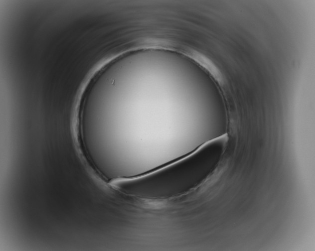 X0000099511136200805151005