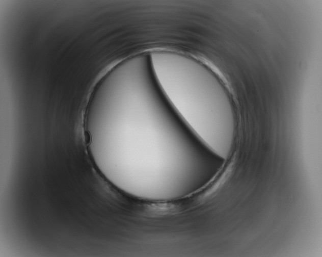 X0000099511137200805151005
