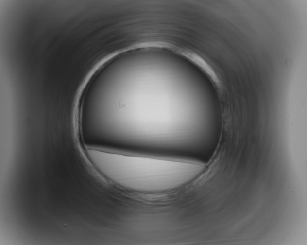 X0000099511140200805151005