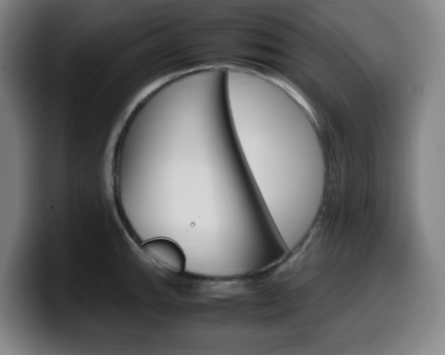 X0000099511143200805151005