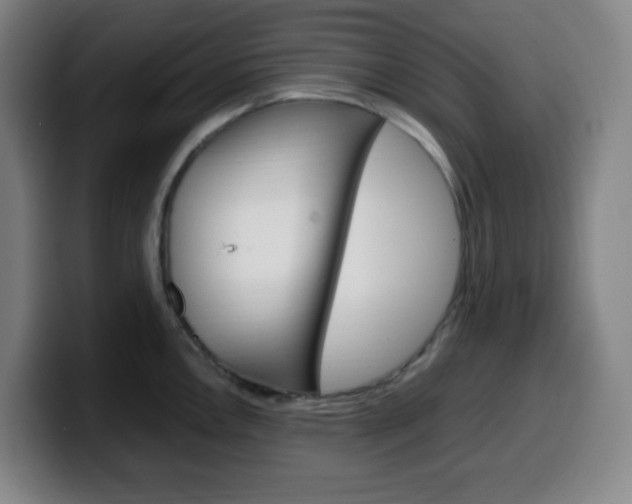 X0000099511146200805151005
