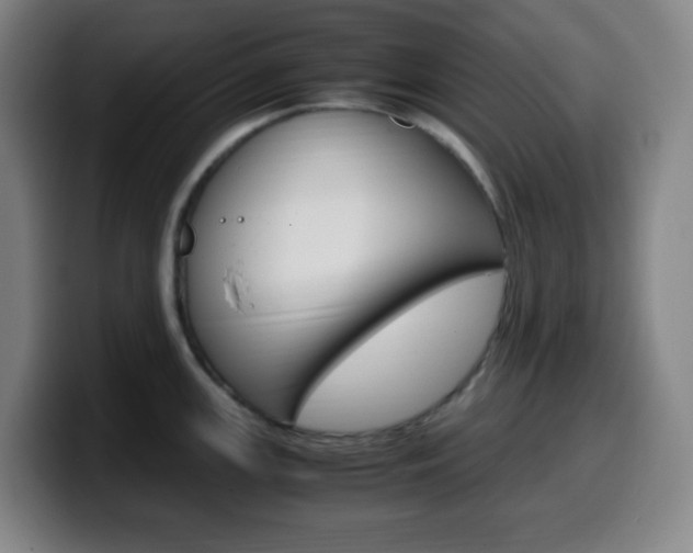 X0000099511147200805151005