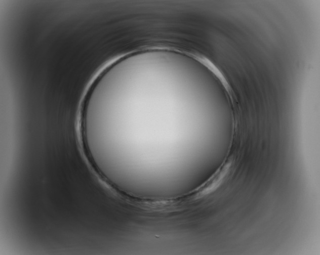 X0000099511149200805151005