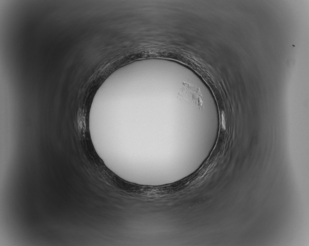 X0000099511155200805151005