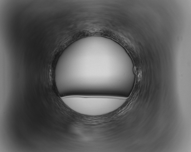 X0000099511156200805151004