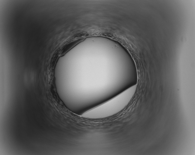 X0000099511157200805151004