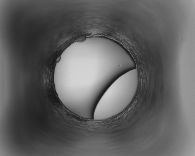 X0000099511158200805151004