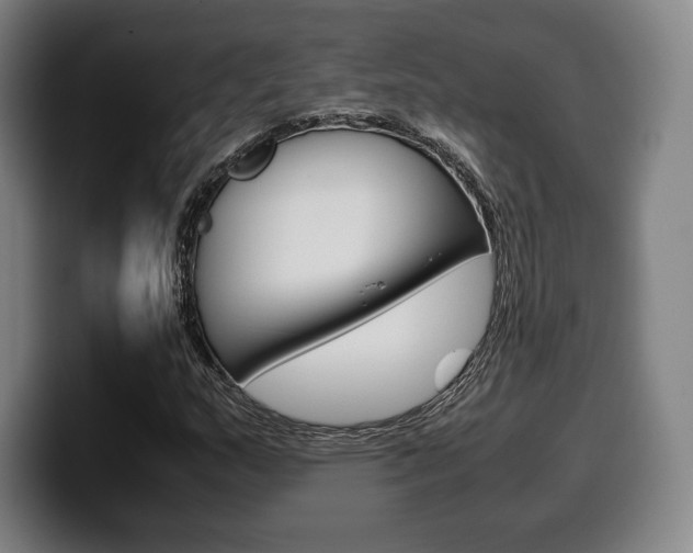 X0000099511159200805151004