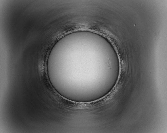 X0000099511161200805151004