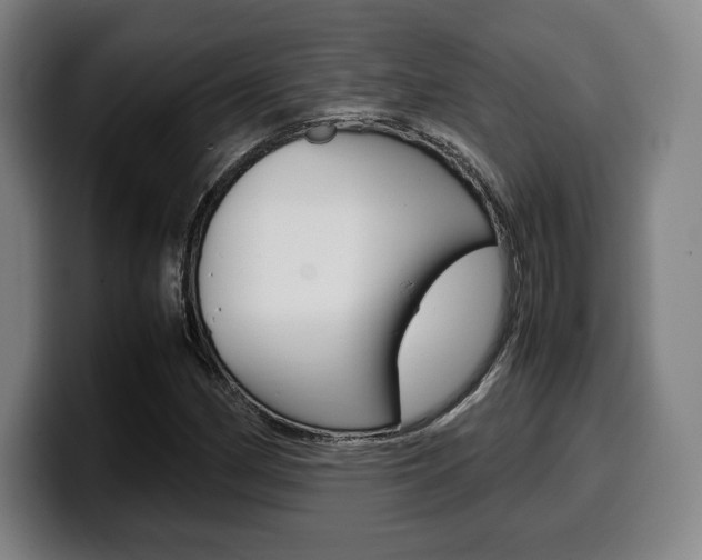 X0000099511162200805151004