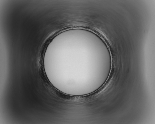 X0000099511163200805151004