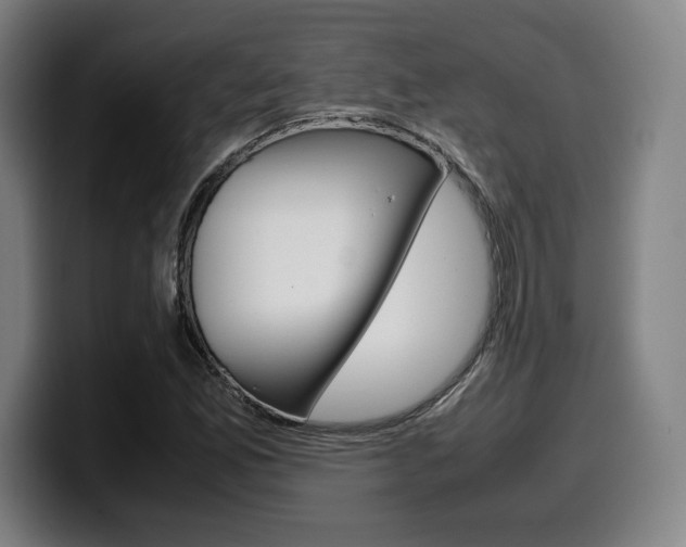 X0000099511165200805151004