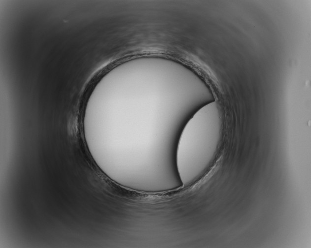 X0000099511166200805151004