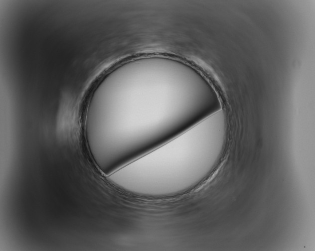 X0000099511167200805151004