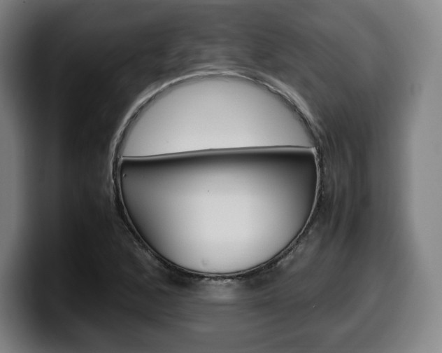 X0000099511168200805151004