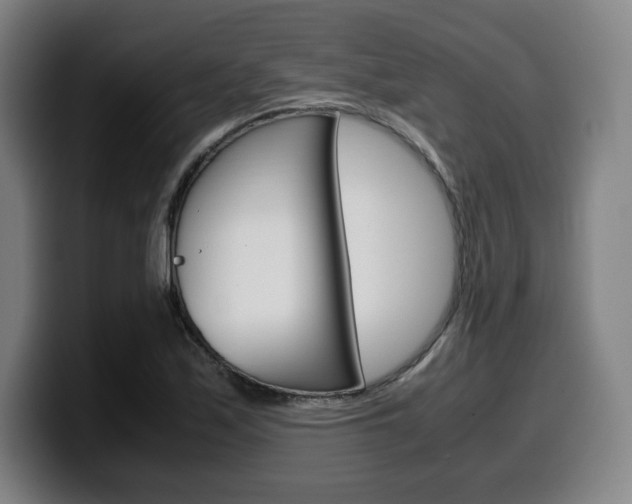 X0000099511171200805151004