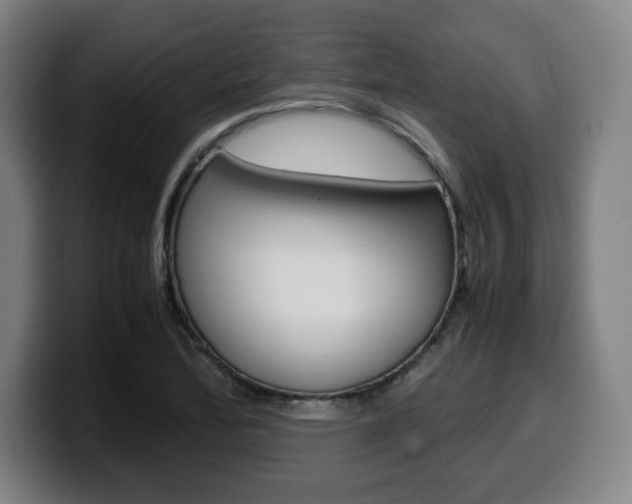 X0000099511172200805151004