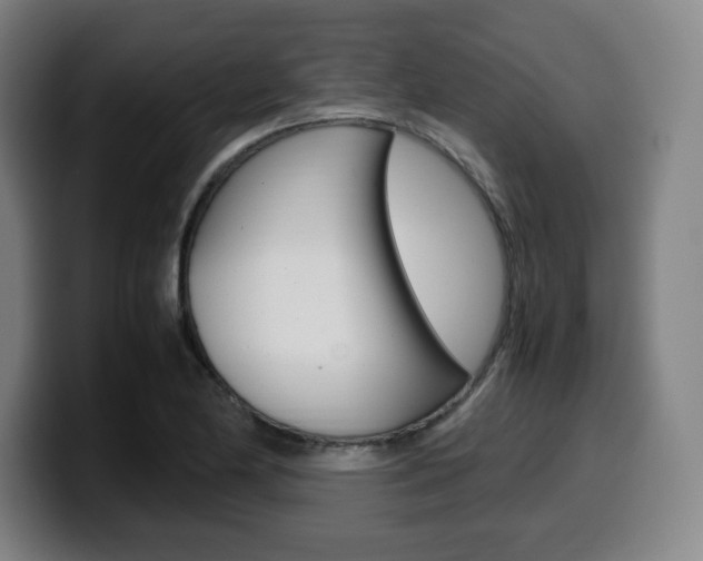 X0000099511174200805151004