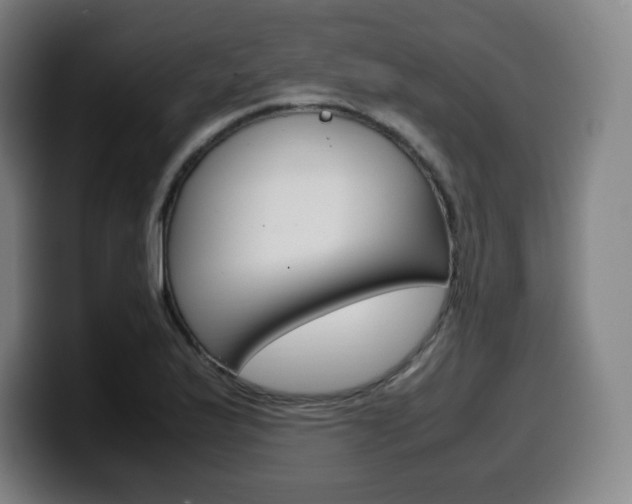X0000099511175200805151004